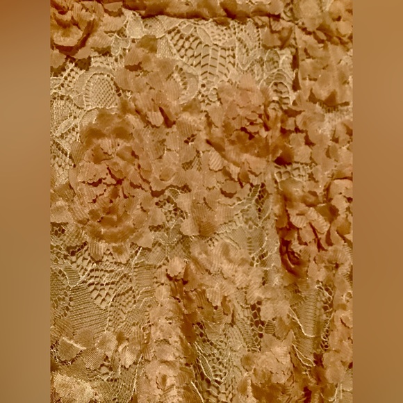 “Xscape by David’s Bridal” Dusty Rose Lace Dress - Picture 8 of 10